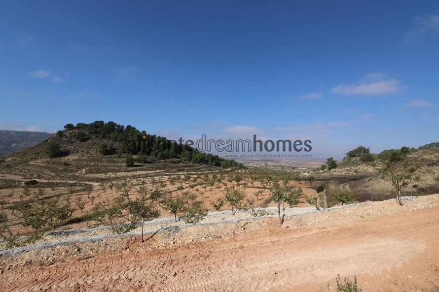 Non Building plot in Encebras Pinoso  in Alicante Dream Homes Hondon