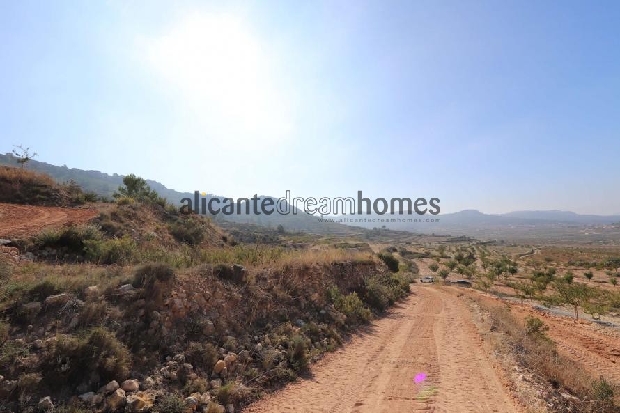 Non Building plot in Encebras Pinoso  in Alicante Dream Homes Hondon