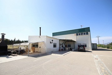 Detached Villa with industrial unit near Monovar and Pinoso