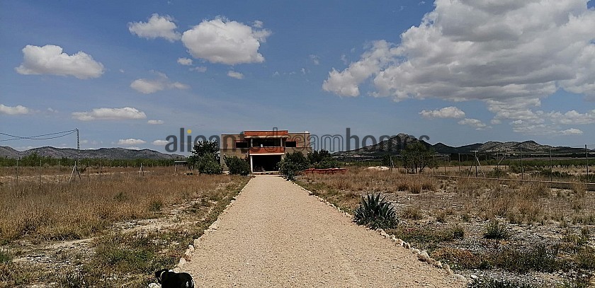 Huge Part Build in Salinas, near Sax in Alicante Dream Homes Hondon