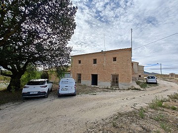 Large historic house and bodega en Pinoso