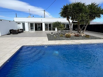 Amazing fully renovated villa with private pool in Aspe