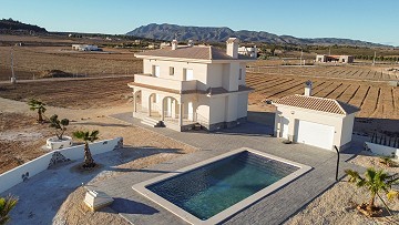 New build villa in Pinoso