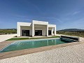Beautiful New Build including a Pool in Alicante Dream Homes Hondon
