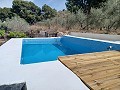 Charming villa located in La Romana in Alicante Dream Homes Hondon